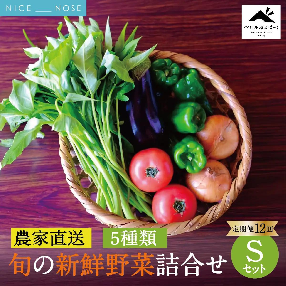 [定期便 12回] 【大阪能勢産】 《農家直送》 べじたぶるぱーくの旬の新鮮野菜詰合せ Sセット (5種類) | 12回(毎月) 定期便 12ヶ月 定期 野菜詰め合わせ 野菜 農薬 化学肥料不使用 新鮮 産地直送 季節 旬 大阪府 能勢町 送料無料