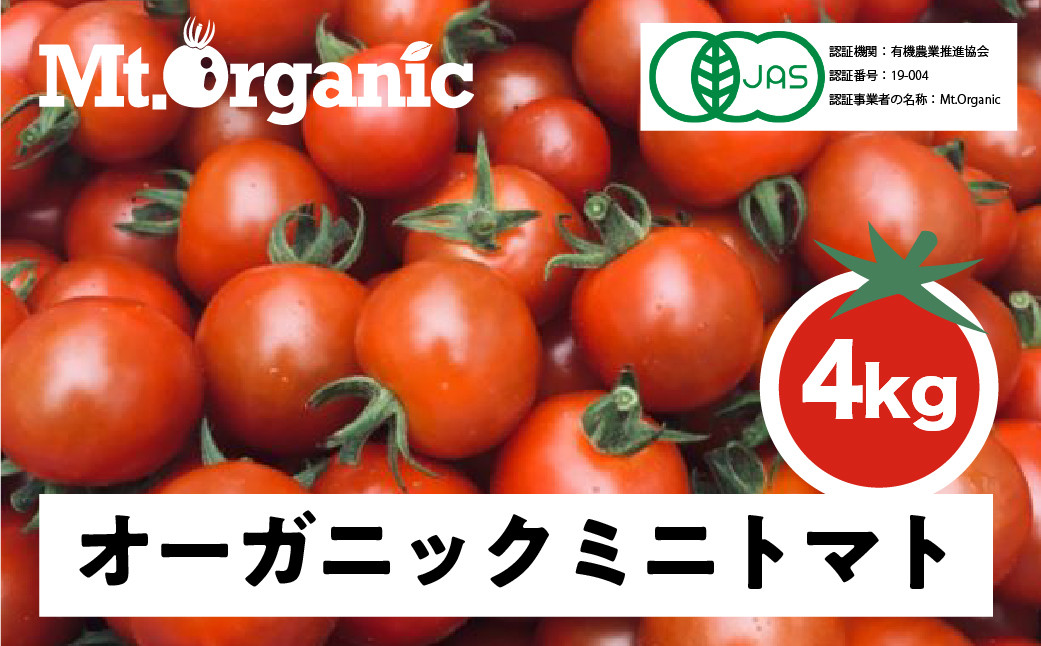 
            【先行予約 令和8年産】2026年 オーガニック ミニトマト 約4kg 有機JAS認証 syun2 飛騨市
          