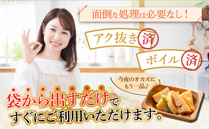 篠栗産たけのこの水煮200g×4パック BZ026