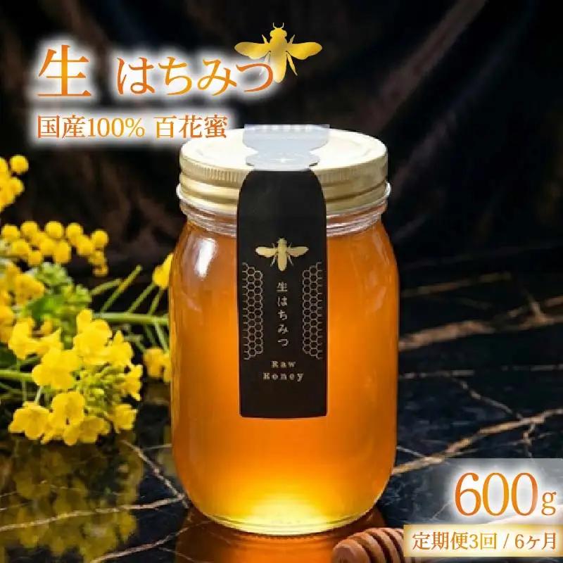 蜂蜜 ローハニー 生はちみつ 600g 定期便 国産 百花蜜 下田 非加熱 はちみつ