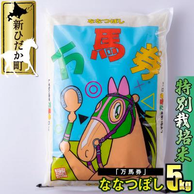 ふるさと納税 新ひだか町 北海道産特別栽培米ななつぼし 万馬券5kg | 