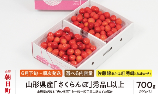 ＜ 先行予約 ＞ 山形県産 さくらんぼ （ 佐藤錦 ・ 紅秀峰 ） 秀品 L以上 700g (350g×2) 【2026年6月下旬から7月上旬発送】 山形県 果物 フルーツ 初夏 夏 送料無料