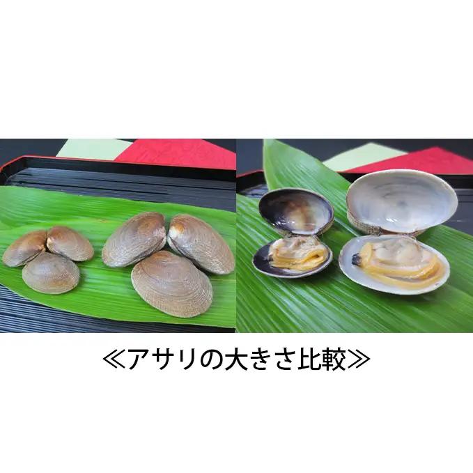 特大 あさり 500g ×2袋 (計約1kg) 砂出し済み アサリ あさり