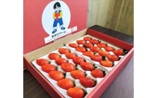 【2026年 先行予約】いちご 2種食べ比べ 400g × 2パック 800g｜コク 甘み 朝採れ やよいひめ ななか 恋みのり あまおとめ あすかルビー 贈答用 新鮮 完熟 いちご 旬 苺 ストロベ