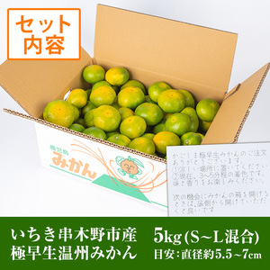 ＜先行予約・ 数量限定＞ 極早生 温州みかん 5kg 箱満杯バラ詰め！S～Lサイズ 【A-1982H】