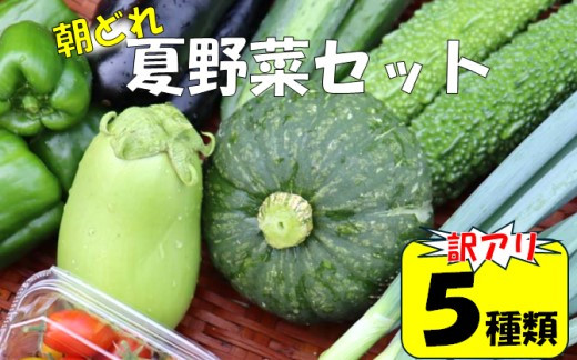 
                  【訳アリ】【朝どれ】アグリ福ちゃん 夏野菜セット（５種類） ZS-6129
                