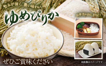 【令和７年産米】北海道産ゆめぴりか10kg（5kg×2)　【 国産 白米 精米 お米 単一原料米 厳選 マイスター 生活応援 ゆめぴりか おすすめ 北海道 美唄市 美唄】