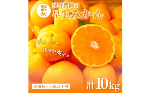 【先行予約】浅野農園の早生みかん 訳あり10kg ※離島への配送不可（2025年11月上旬～11月中旬頃に順次発送予定）  【 ふるさと納税 人気 おすすめ ランキング 柑橘 みかん ミカン オレンジ 訳あり フルーツ 果物 10kg くだもの 旬 愛媛県産 愛媛みかん 浅野農園 愛媛県 伊方町 送料無料 】IKTAC013