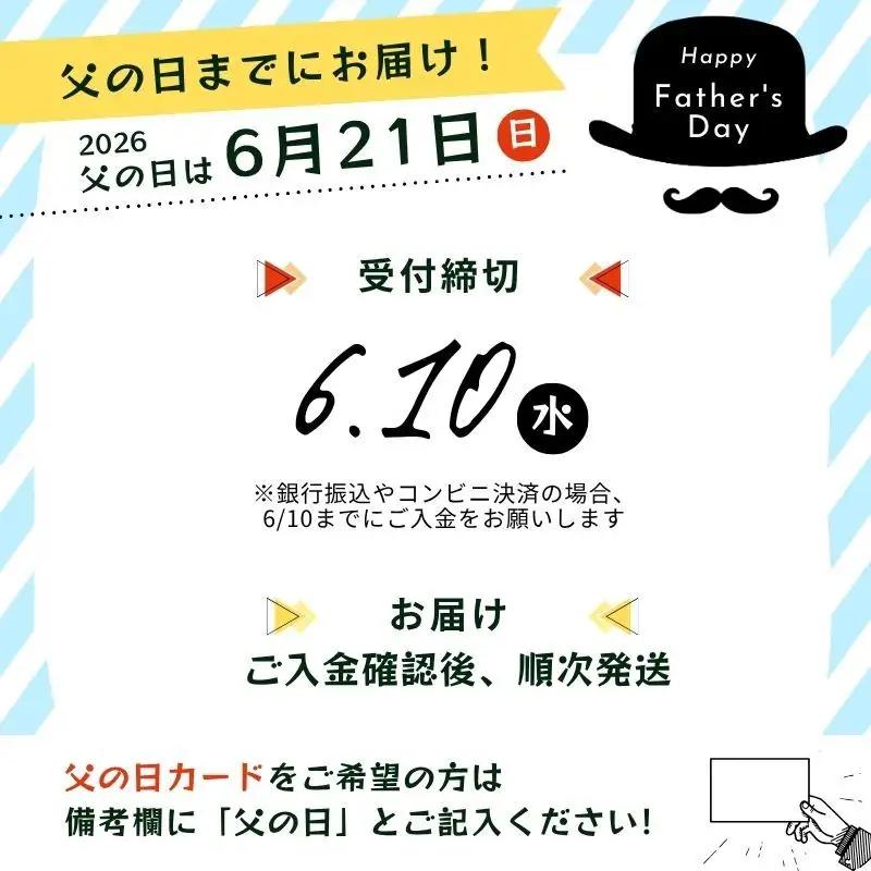 クラフトビール アップルホップ Ogna 330ml 6本 クラフトビール