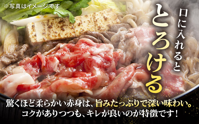 【全2回定期便】 特選 壱岐牛 モモ 500g（すき焼き・しゃぶしゃぶ）《壱岐市》【太陽商事】 肉 牛肉 薄切り うす切り すき焼き しゃぶしゃぶ モモ 赤身 鍋 定期便 [JDL111]