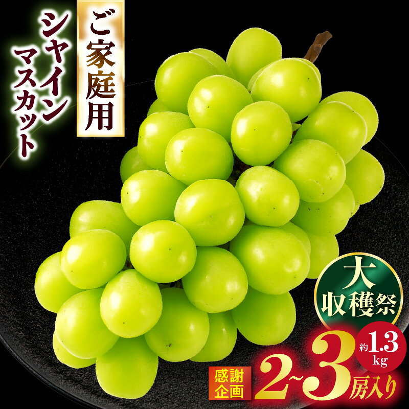【ふるさと納税】【大収穫祭・感謝企画】ご家庭用シャインマスカット　約1.3kg以上(2～3房) | シャインマスカット マスカット ぶどう ブドウ 葡萄 果物 フルーツ 国産 旬 人気 種なし 皮ごと食べられる 糖度が高い 季節限定 おすすめ 香川 香川県 三木町 ご家庭用 訳あり