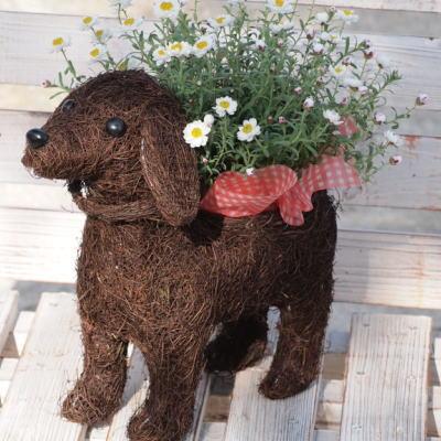 ふるさと納税 朝倉市 チビわんこのフラワーバスケット(2匹) |  | 01