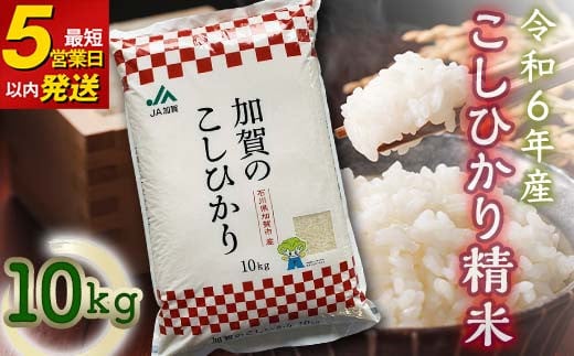 
こしひかり 精米 10kg 令和6年産 コシヒカリ 9月中発送可 最短5営業日以内発送 銘柄米 お米 米 ギフト 贈り物 グルメ 食品 復興 震災 コロナ 能登半島地震復興支援 北陸新幹線 F6P-2111
