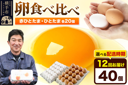 《定期便12ヶ月》赤ひとたま 20個・ひとたま 20個 計40個（業務用）