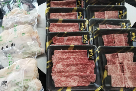 博多和牛＆はかた地どり バラエティーセット(明太子付き)【12カ月定期便】【S-019】