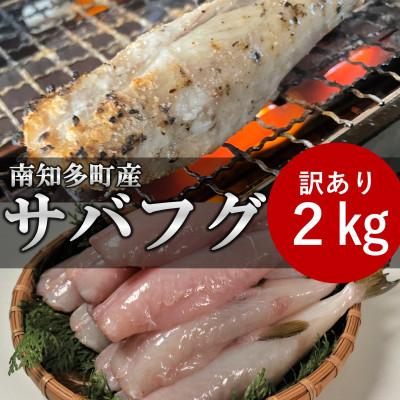 ふるさと納税 南知多町 訳あり サバフグ 2kg 鍋 から揚げ 用
