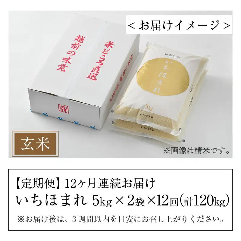 【令和8年産】定期便12回 いちほまれ 玄米 10kg×12回（計120kg）《新鮮な高品質米をお届け！》／ 福井県産 ブランド米 ご飯 [aw064-o004]
