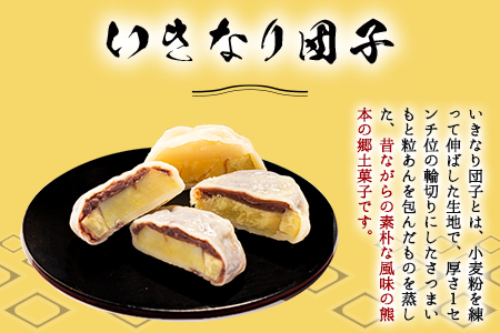 めぐみ工房 いきなり団子 20個 つぶあん こしあん 白あん 《60日以内に出荷予定(土日祝除く)》熊本県 葦北郡 津奈木町 お菓子 スイーツ お茶菓子 お茶請け 冷めてもおいしい さつまいも 芋 餡