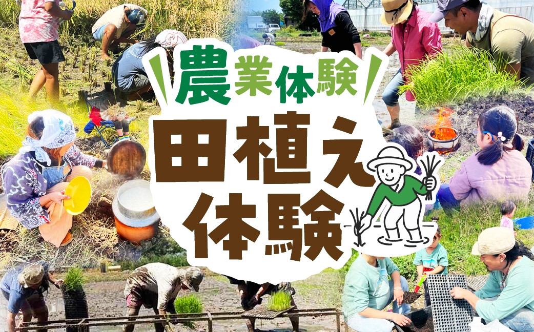 
            【農業体験】田植え体験 米作り 手作業 無農薬 体験 お米 米 親子 イベント 自然 自然体験
          