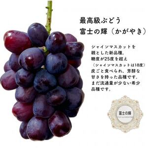 富士の輝　大房800g以上　1房【配送不可地域：離島】【1525932】