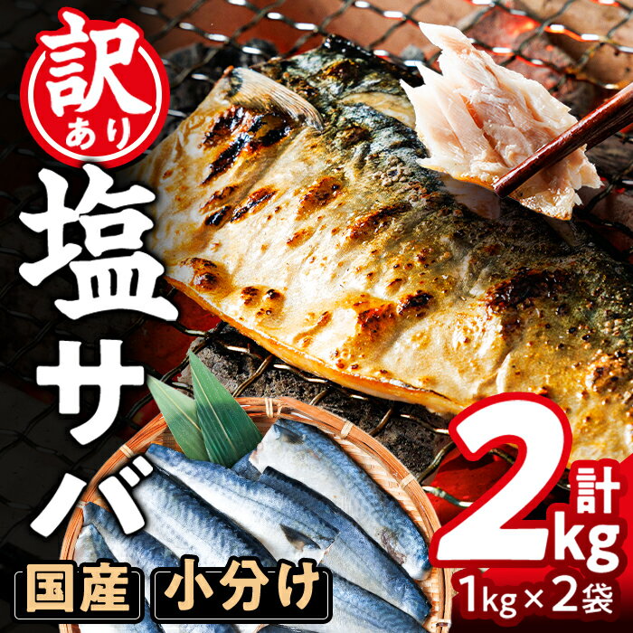 【ふるさと納税】【楽天限定寄附額！】＜訳あり・不揃い＞ 塩さば フィーレ (計2kg・1kg×2袋) ＜2026年4月上旬以降順次発送予定＞ サバ 鯖 切り身 フィレ 有塩 国産 パラパラ冷凍 小分け 便利 簡単 期間限定 楽天限定【HX003】【山田水産】