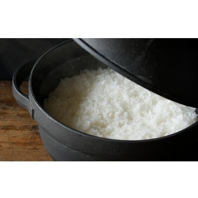 ふるさと納税 西脇市 兵庫県産のお米　令和7年産・きぬむすめ　白米10kg(10kg×1袋)