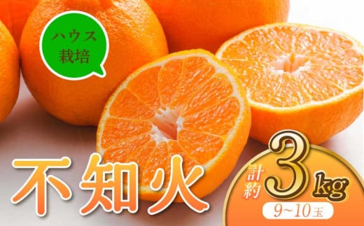 【先行予約】宇城市産 ハウス栽培 不知火 約3kg【うちやま果樹園】【2026年2月下旬から6月下旬発送予定】 レビューキャンペーン