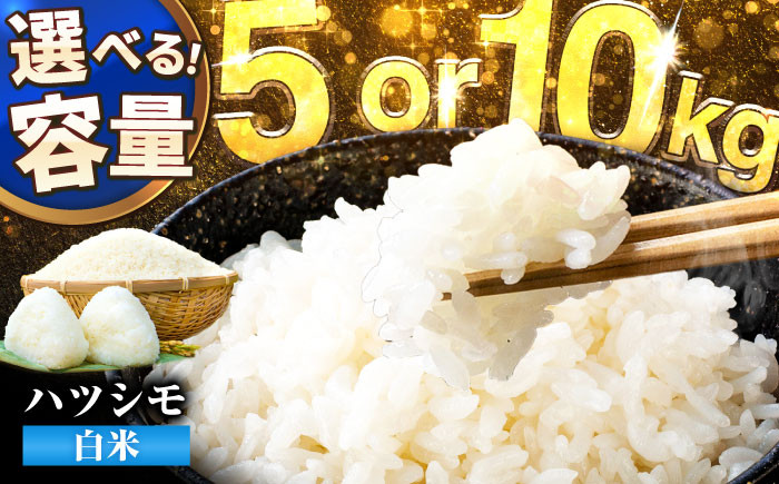 
            【令和6年度産】【選べる容量】岐阜県産米ハツシモ5kg、10kg ハツシモ 白米 精米 米　岐阜市 / 藍川ファーム [ANHI001]
          