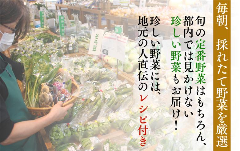 海まち野菜セット 6ヶ月の定期便　【 野菜 やさい きのこ 山菜 セット 定期 旬 定期便 人気 詰め合わせ 6ヵ月 おまかせ 新鮮  】　<BC-57>