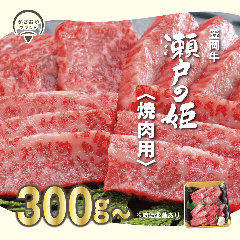 【ふるさと納税】A-09 瀬戸の姫（焼肉用）牛肉 焼肉 さし BBQ《45日以内に出荷予定(土日祝を除く)》