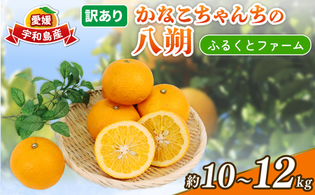 はっさく 訳あり 八朔 10~12kg 先行予約 ふるくとファーム かなこちゃんち 果物 くだもの フルーツ 柑橘 みかん 蜜柑 mikan わけあり 訳アリ 訳あり品 ビタミンC たっぷり 愛媛ミカン 愛媛蜜柑 愛媛みかん 農家直送 産地直送 数量限定 国産 愛媛 宇和島 B015-037003