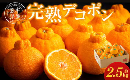熊本県産 完熟 デコポン 計2.5kg（10～12玉） 果物 くだもの フルーツ 蜜柑 ミカン 柑橘 【2026年3月上旬～3月下旬発送予定】