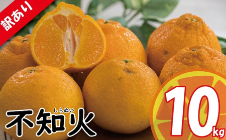 【2026年3月中旬頃から順次発送】 訳あり みかん 不知火 しらぬい 約10kg | デコポン でこぽん と同品種 みかん ミカン 蜜柑 愛媛みかん 愛媛ミカン 果物 くだもの フルーツ 家庭用 国産 産地直送 お取り寄せ 愛媛県産 2026年3月中旬頃より発送予定 愛媛県 松山市【VEG110】
