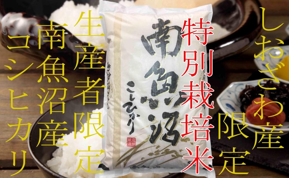 【令和7年産】【定期便8kg×12ヶ月】特別栽培 しおざわ産限定 生産者限定 南魚沼産コシヒカリ【2025年10月上旬より順次発送予定】