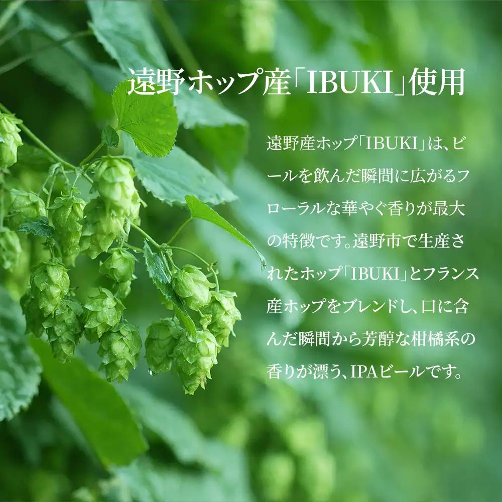 fn-58-005 仙人秘水ビール8本セット 上閉伊酒造 クラフトビール 仙人秘水 ホップ BBQ 缶