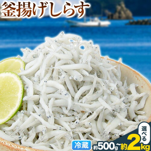 【ふるさと納税】選べる 内容量 釜揚げ しらす 大五海産《30日以内に出荷予定(土日祝除く)》和歌山県 日高町 しらす 500g 1kg 1.5kg 2kg 魚 海鮮