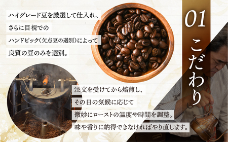お試し コーヒー 100g 【粉】 (ストロング) お試し 