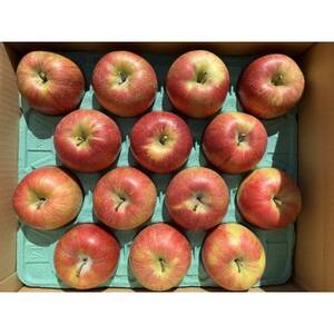 シャキッ!甘～い!シナノスイート 約5kg【1536024】