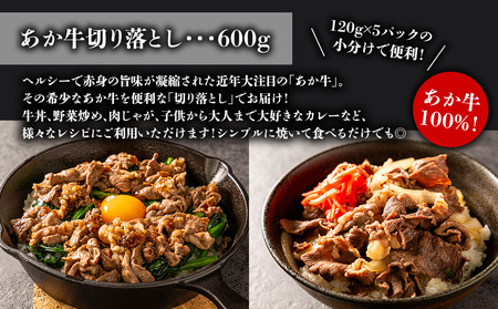 熊本特産大満喫！ 馬刺し＆あか牛切り落としセット（馬刺し400g&切り落とし600g） 赤牛  切り落とし 牛肉 冷凍  くまもと 和牛 国産 赤身 上赤身　新鮮馬肉　赤身馬刺し　国産赤身馬刺し　刺身