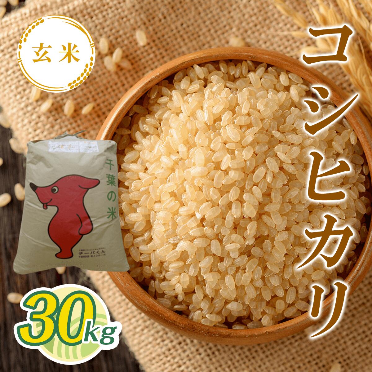 【ふるさと納税】令和7年産 新米 コシヒカリ玄米 30kg T03501 / 検査済米（1等） 米 玄米 コシヒカリ こしひかり こめ コメ ごはん ご飯 千葉県 大多喜町