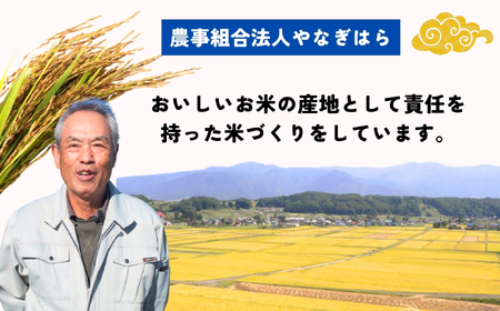 【先行予約】＜令和7年産新米＞特別栽培米 「やなぎはらの米 風さやか 」10㎏ (7-71) 長野県 飯山市 おすすめ ランキング 高評価 大人気 ギフト 米 お米