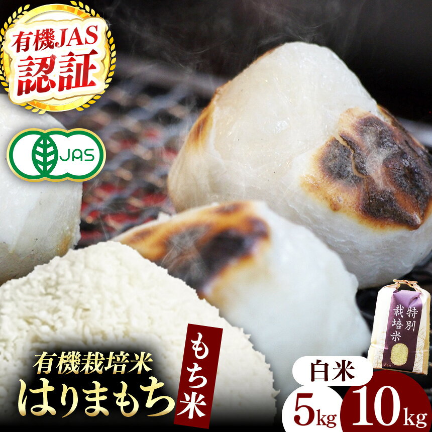 【ふるさと納税】【選べる内容】【有機JAS認証米】『タガメの里・自然米』2026年産 もち米「はりまもち」白米 5kg / 10kg | お米 おこめ 米 コメ こめ はりまもち 白米 有機JAS認証米 兵庫県 上郡町