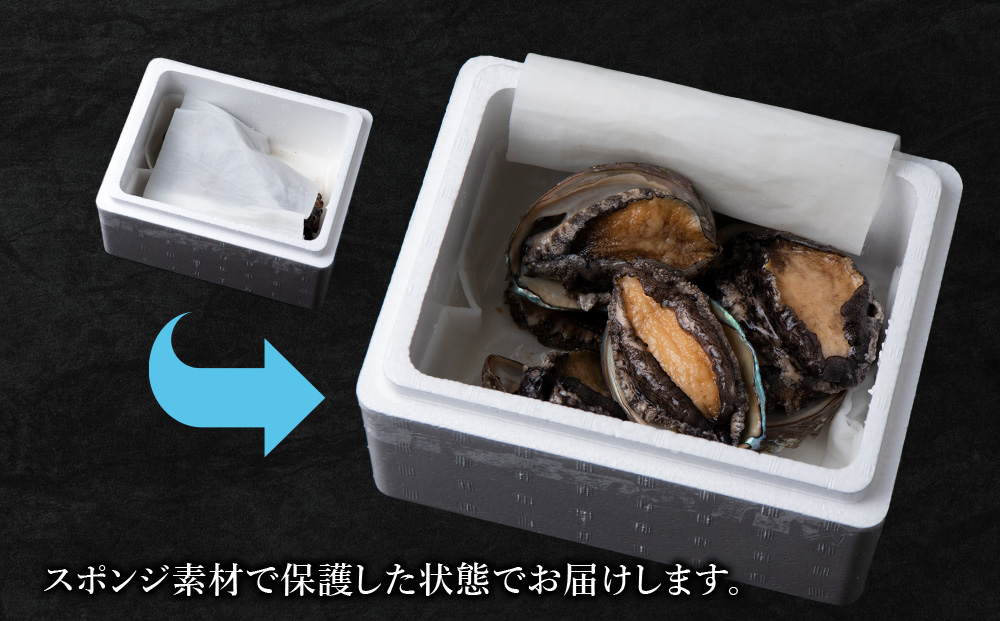 利尻島産 直送！天然 生えぞあわび１kg 鮑 海鮮 冷蔵 お刺身 魚介 お祝い【福士水産】
