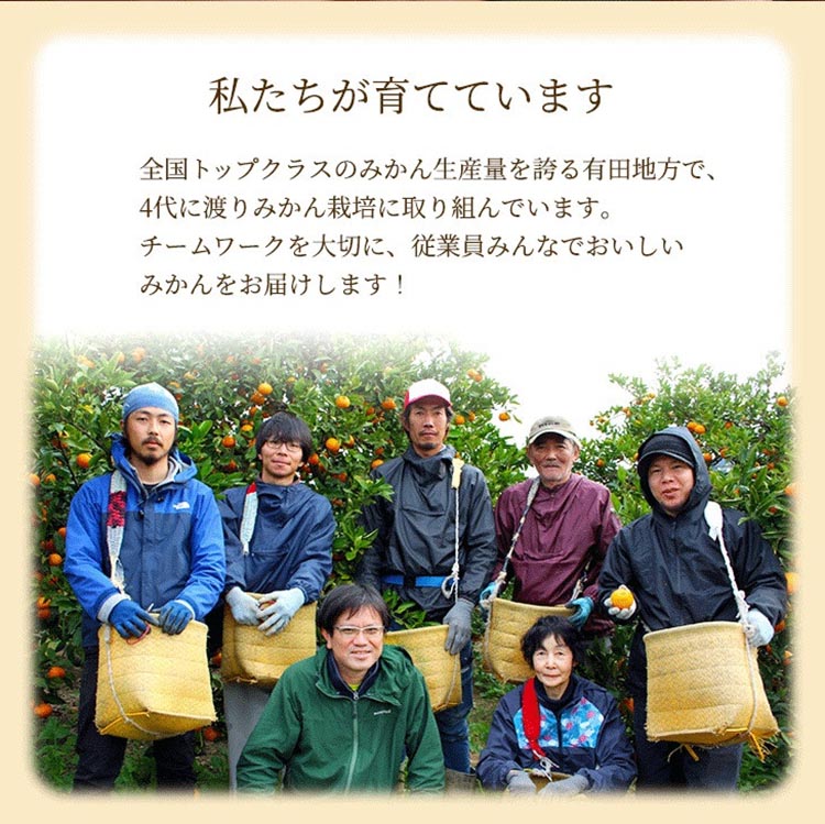 家庭用 完熟 有田みかん10kg+250g（傷み補償分）サイズ混合 