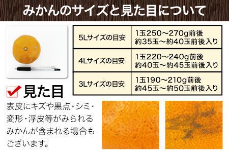 みかん 訳あり 大粒 ミカン 10kg 10キロ 熊本 ちょっと 訳あり みかん 傷 5L～3Lサイズ 約10kg たっぷり 熊本県 期間限定 フルーツ みかん 旬 みかん 柑橘 みかん 長洲町 大粒