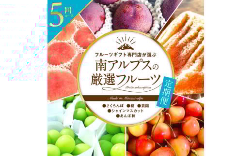 フルーツギフト専門店が選ぶ南アルプスの厳選フルーツ定期便　全5品種（さくらんぼ・桃・貴陽・シャインマスカット・あんぽ柿） ALPAH020