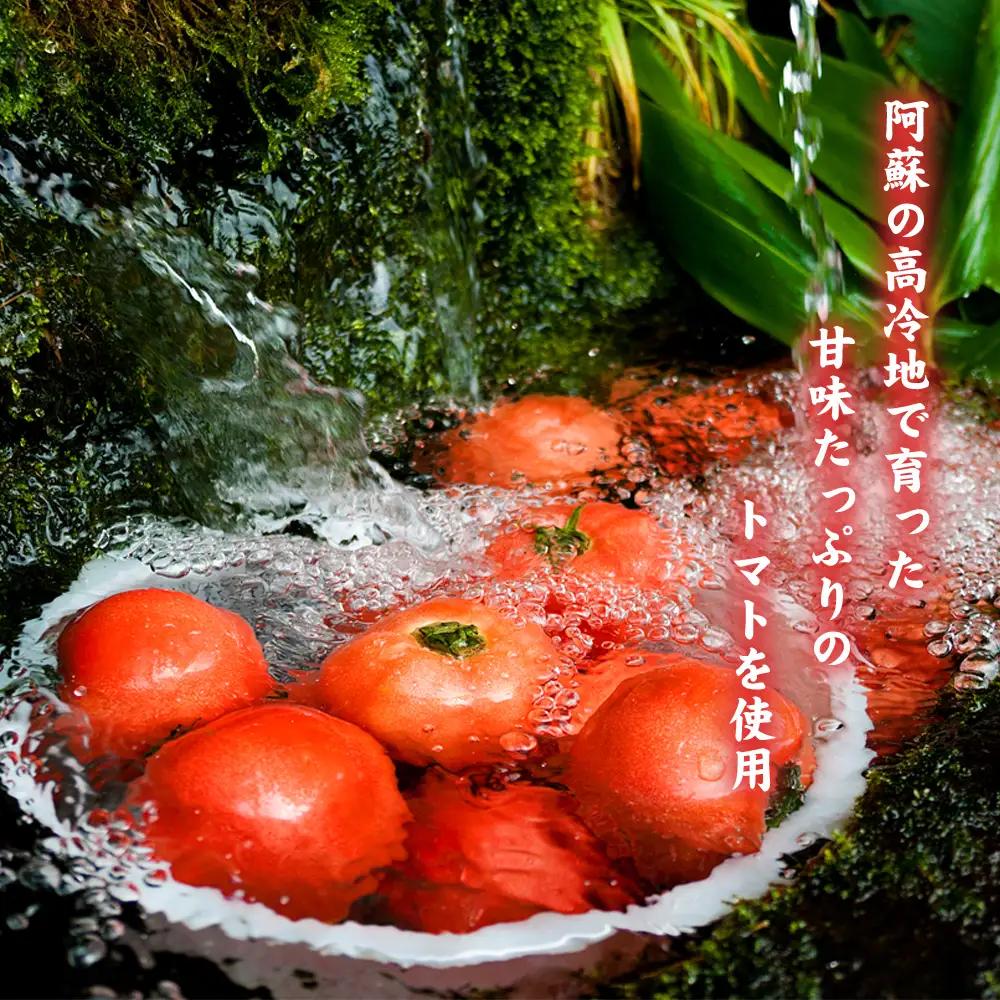 阿蘇とまとのチキンカレー　5個セット