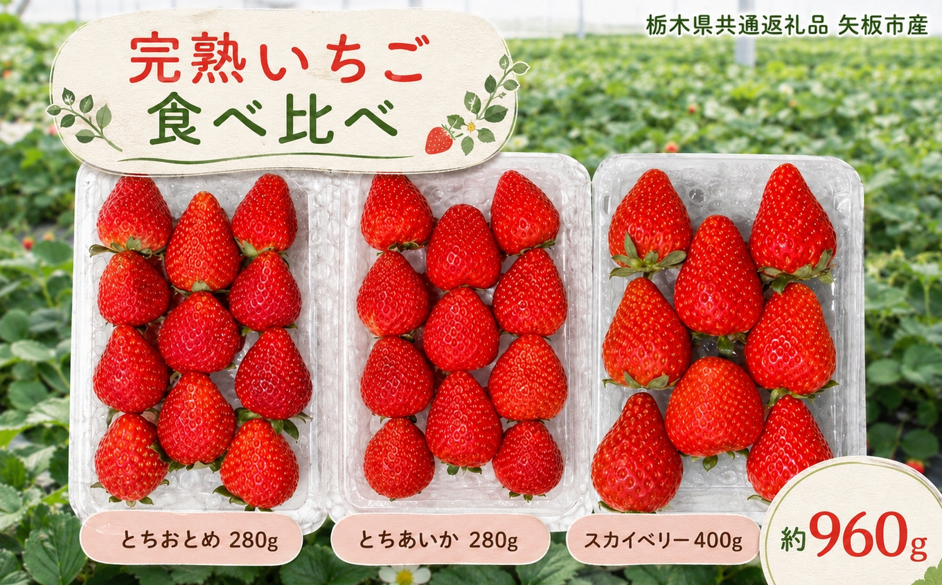 
                  いちご3品種 食べ比べセット 960g(とちあいか・スカイベリー・とちおとめ)栃木県共通返礼品 矢板市産 いちご 果物 フルーツ 栃木県下野市
                
