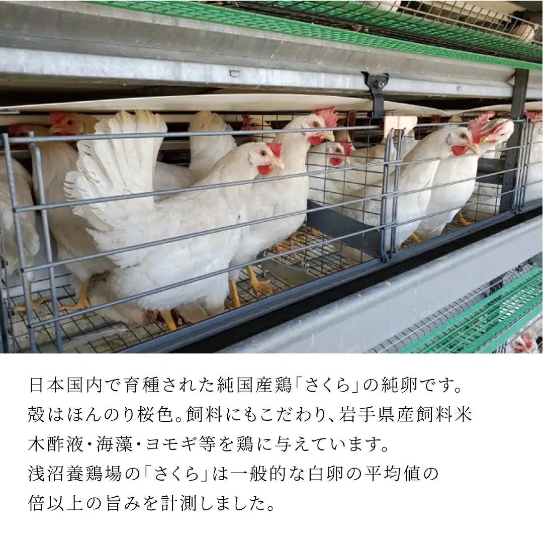 【ふるなびWEEK対象】純国産鶏【さくら】純たまご 50個入り 破損保証5個を含む (AJ035)