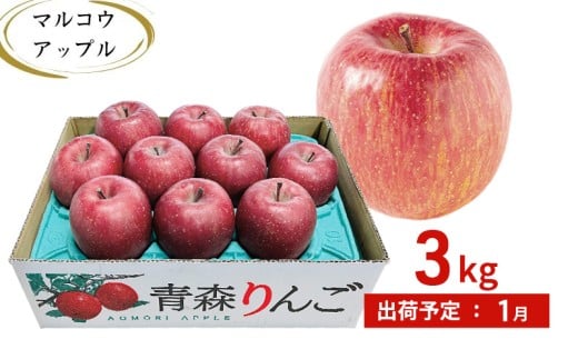【1月発送】訳あり 家庭用 濃厚サンふじ 約3kg 糖度13度以上【青森りんご・マルコウアップル】